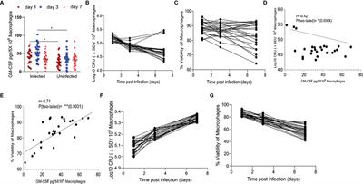 Human Macrophages Exhibit GM-CSF Dependent Restriction of Mycobacterium tuberculosis Infection via Regulating Their Self-Survival, Differentiation and Metabolism